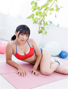 江淮柱石